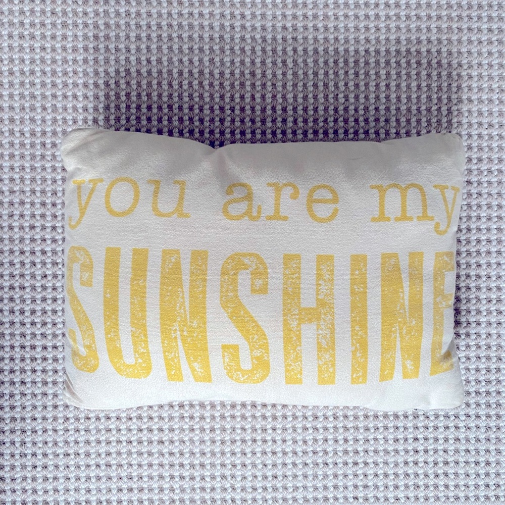 Cute Accent Pillow